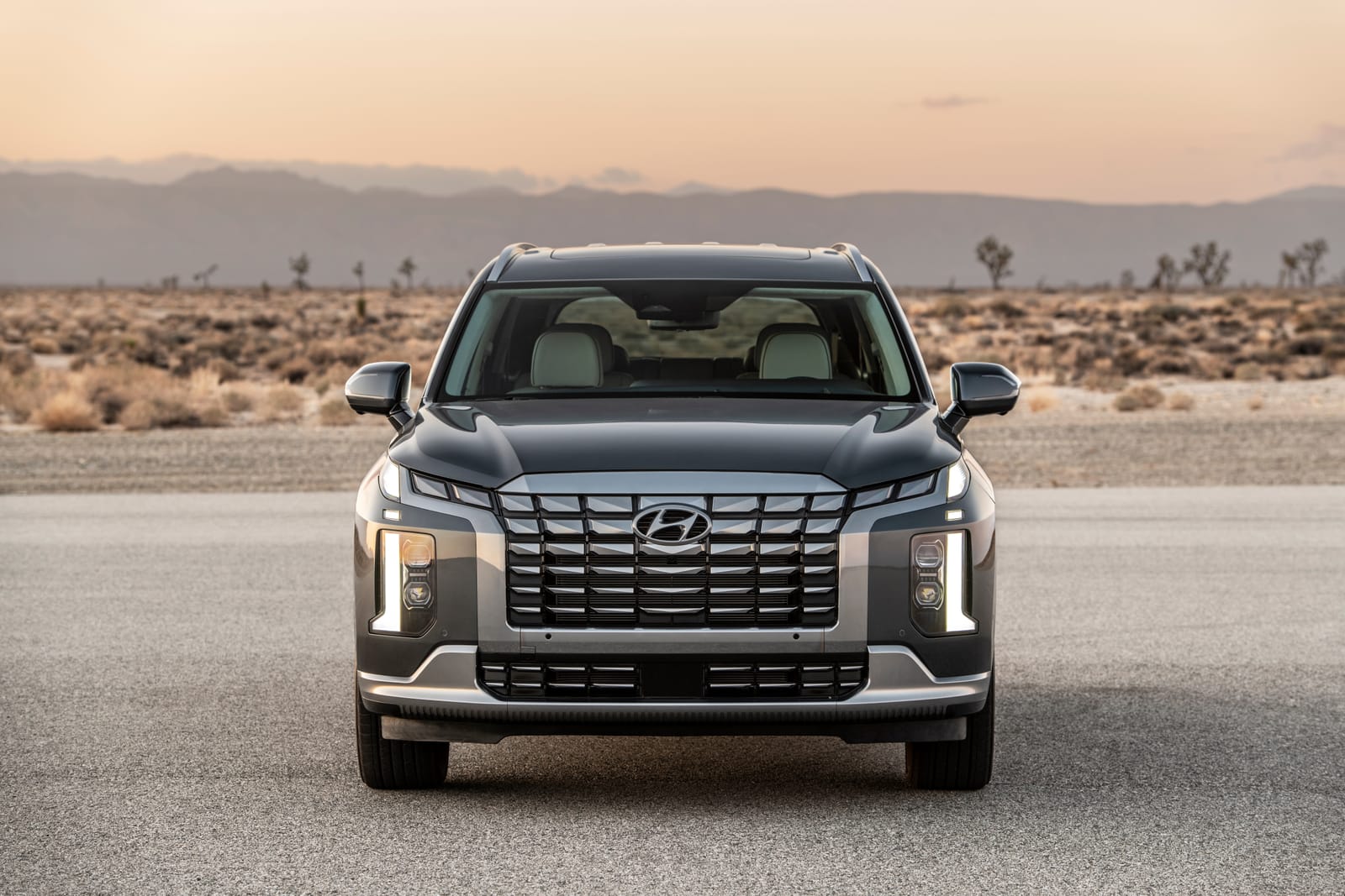 2025 Hyundai Palisade Review: Price, Specs and Rating